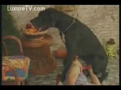 Classic brute sex clip featuring a cougar in pigtails and a huge dog